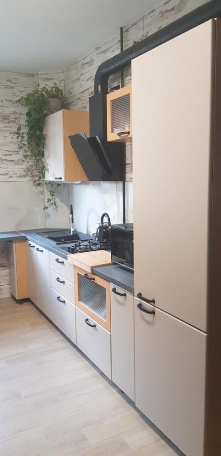 Dailidziu Apartamentai Klaipėda Kültér fotó