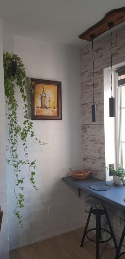 Dailidziu Apartamentai Klaipėda Kültér fotó